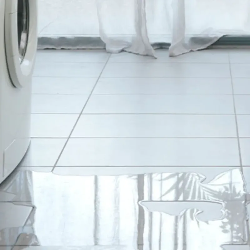 Appliance Leak Cleanup in Morgan Hill, CA